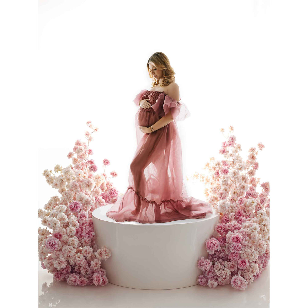 Indira Gown - Don&Judy Newborn&Maternity photography props