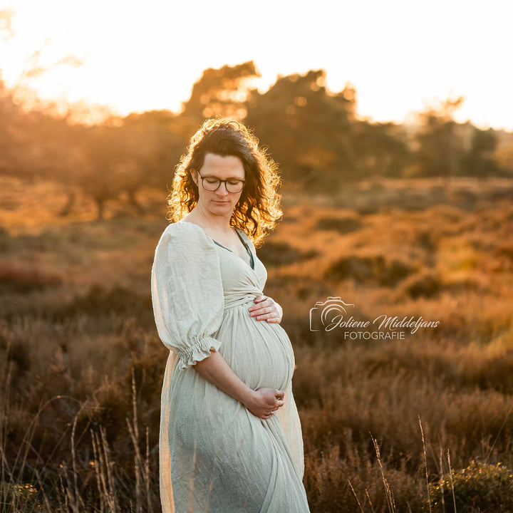 Michelle Gown--- Pay What You Can - Don&Judy Newborn&Maternity photography props